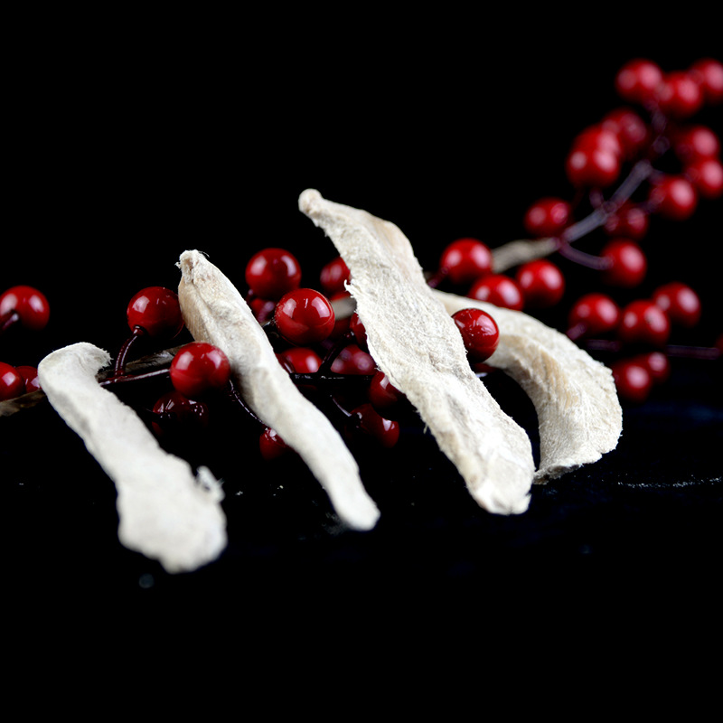 Delicious and healthy cat food for your cat's taste buds