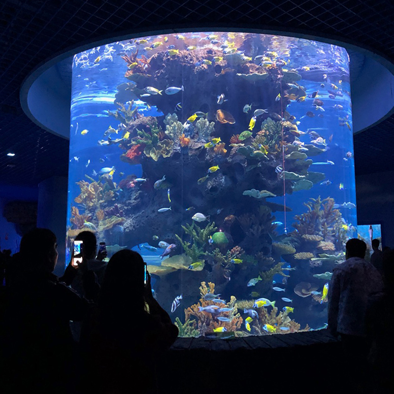 Hot sale factory wholesale direct price Large Cylinder Acrylic Fish Aquarium For Sale