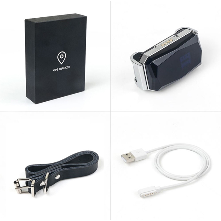 Factory Price G12 IP67 Waterproof Pet GPS Tracker Dog Locator, gps pet tracker