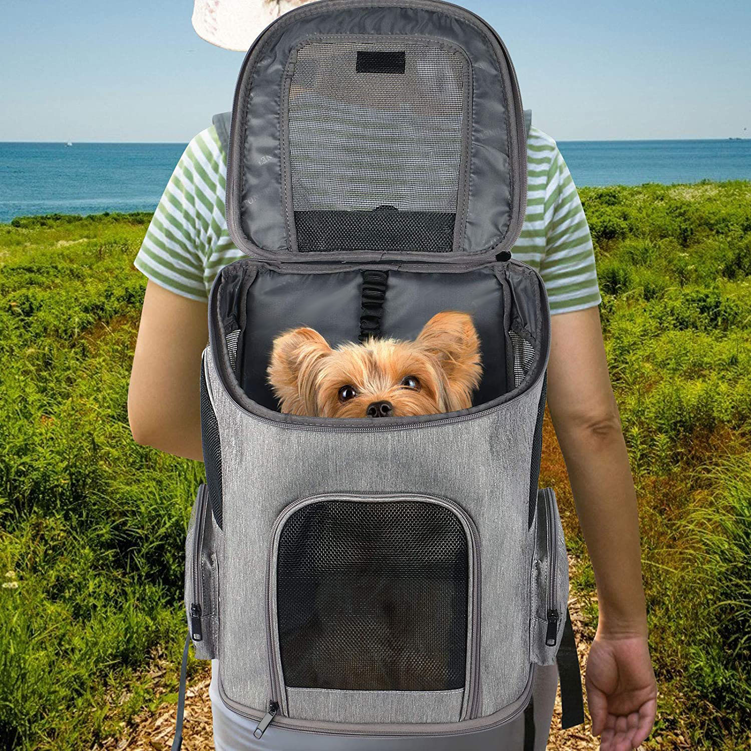high quality 16.5 inches Pet Carrier Bag Comfort Hiking Travel Camping Pet Backpack with Mesh