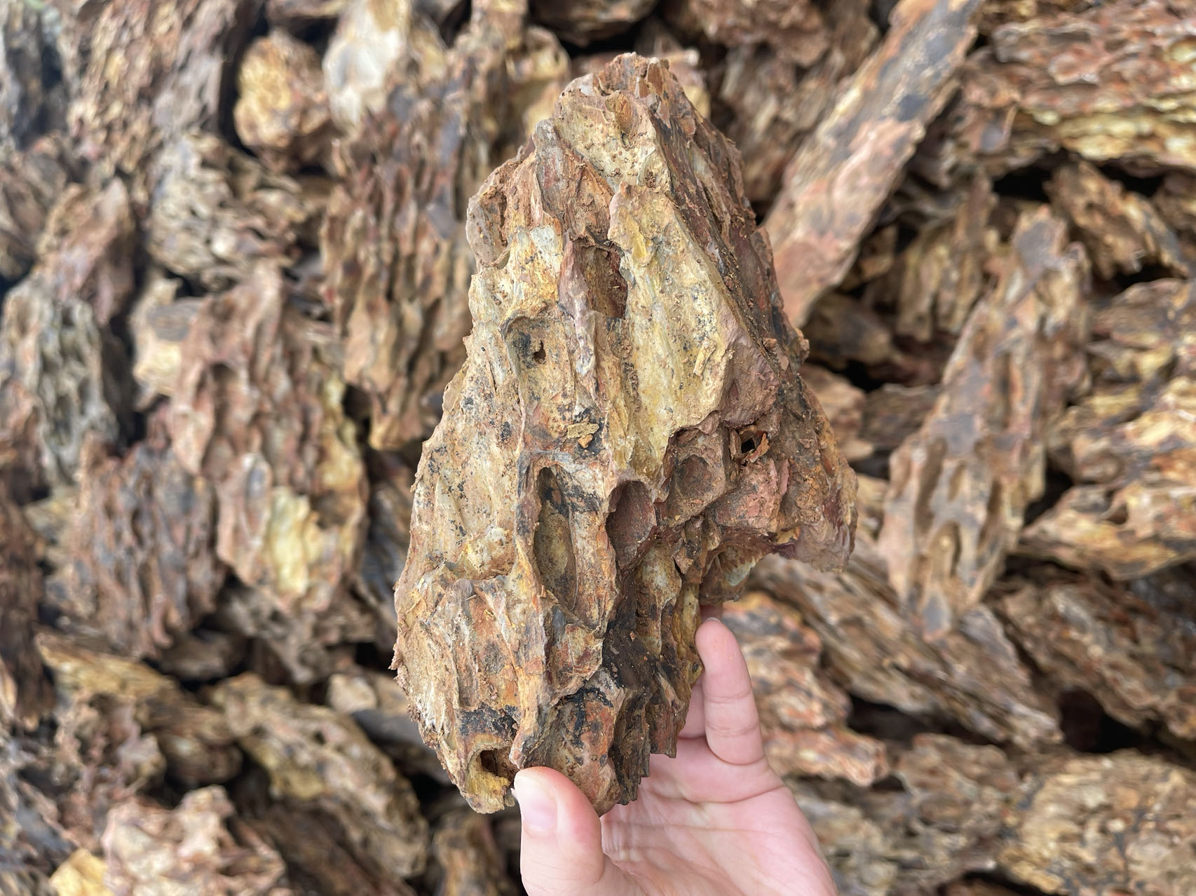 Landscape Dragon Stone Rock for Aquarium fish aquarium decoration