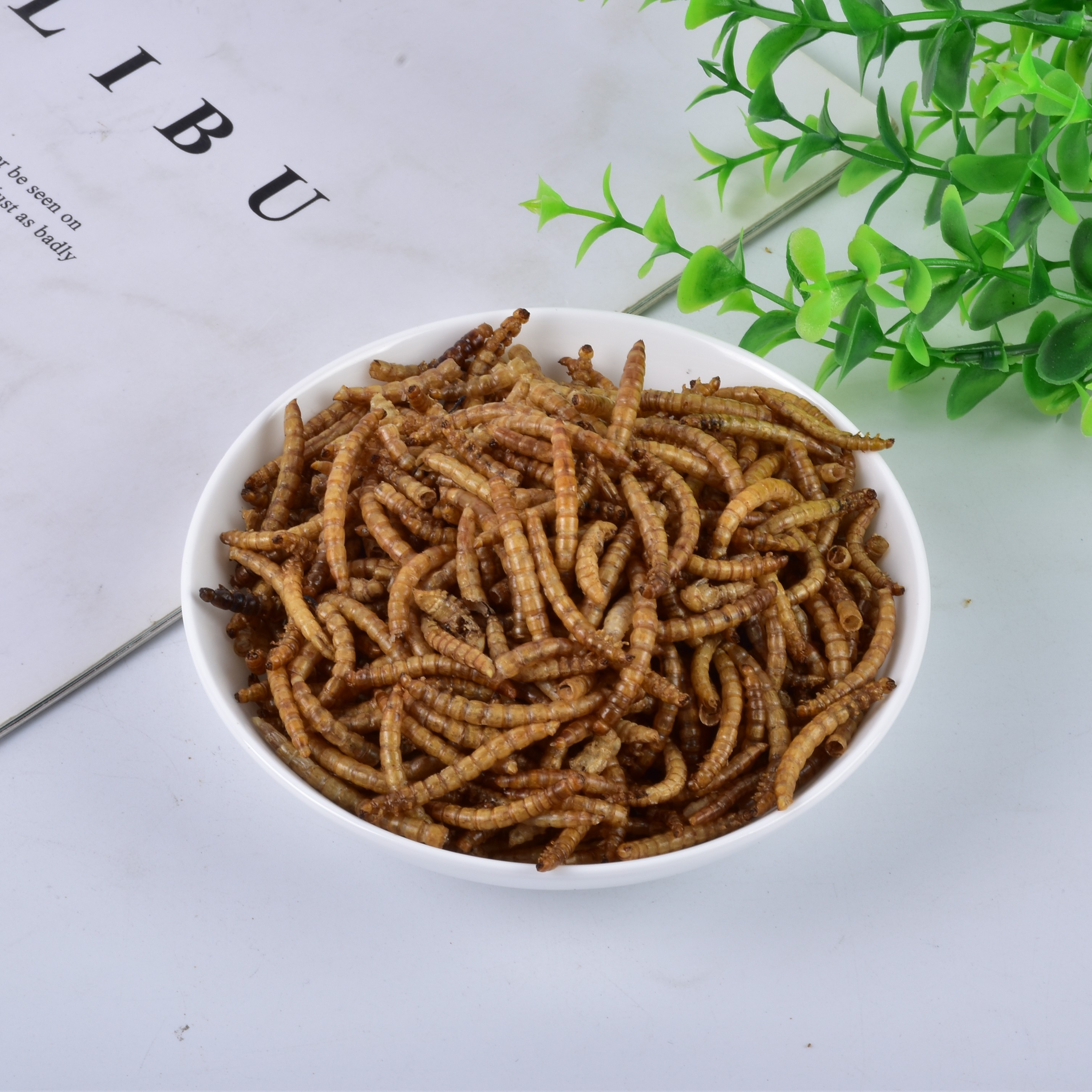 [SINO CROWN]High Quality Organic Dried Mealworm for sale online with best wholesale price fish meal for poultry and livestock