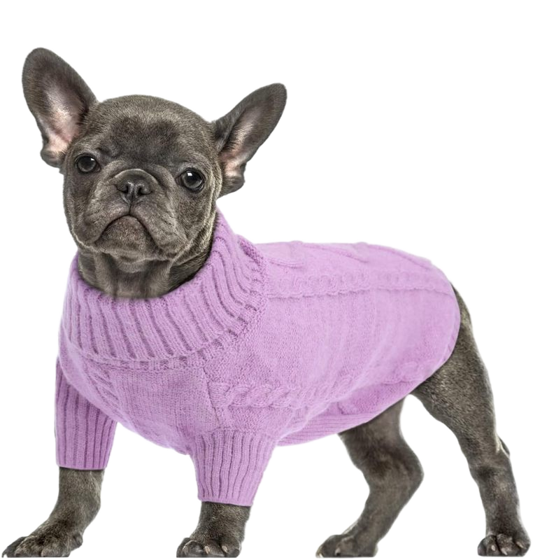 best price classic turtleneck custom logo cute pet Knitting pullover Sweater clothing