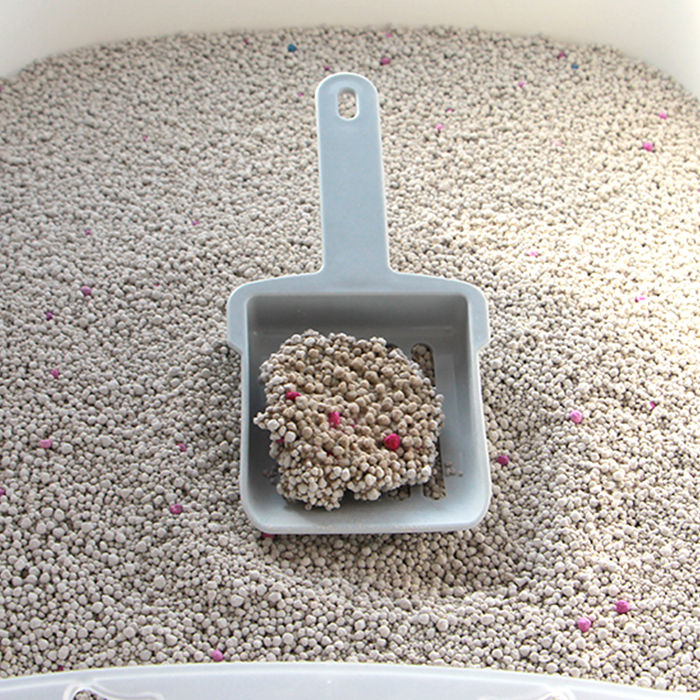 Arena para gatos de bentonita altamente absorbente aglomerante sin polvo de fabrica OEM con mejores ventas de arena para gatos