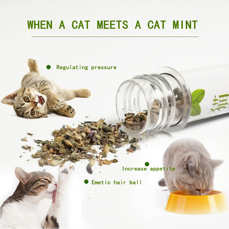 Pet products top sellersl 45ml cat toys test tube cat mint pet shop catnip cat mint