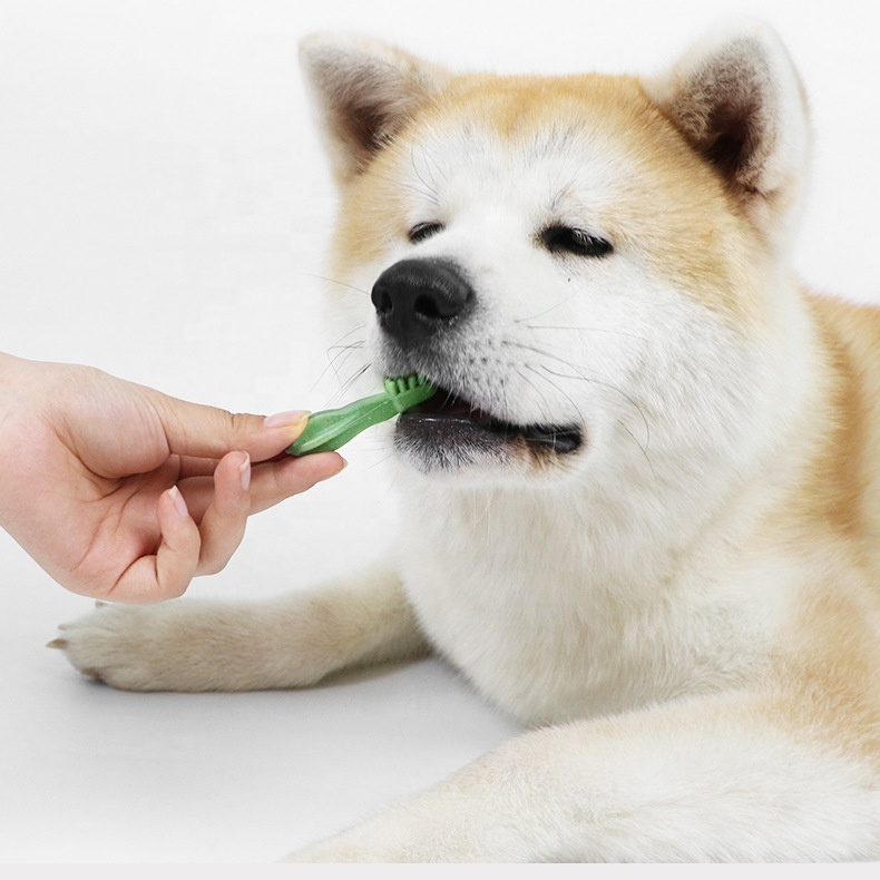 Wholesale bulk dog food care dog toothbrush treats pet stick food dog chew Pet snacks