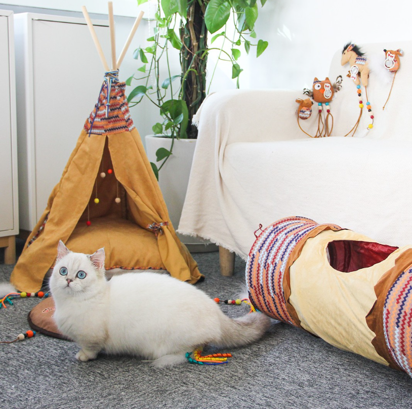 AFP Cat Accessories Products Interactive Cat Toys Feather Cat Wand Teaser Catnip Toys Scratching Post Scratcher For Small Pet