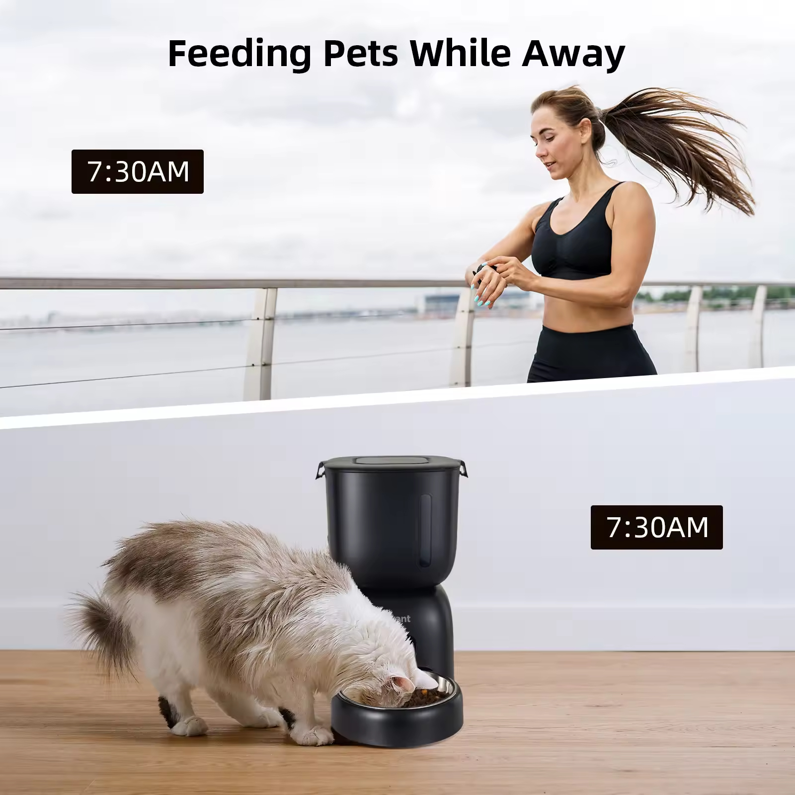 Super Endurance 3L Dual Power Supply Automatic Pet Feeder Plastic Dual Bowl Material Voice Broadcast Feeding Machine