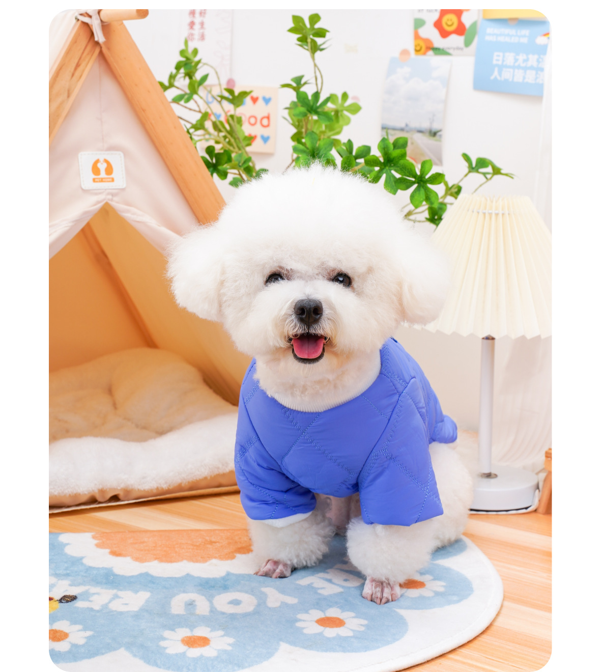 Winter Pet Clothes New Design Cat Sweatshirt Dog Pet Warm Clothes With Pocket