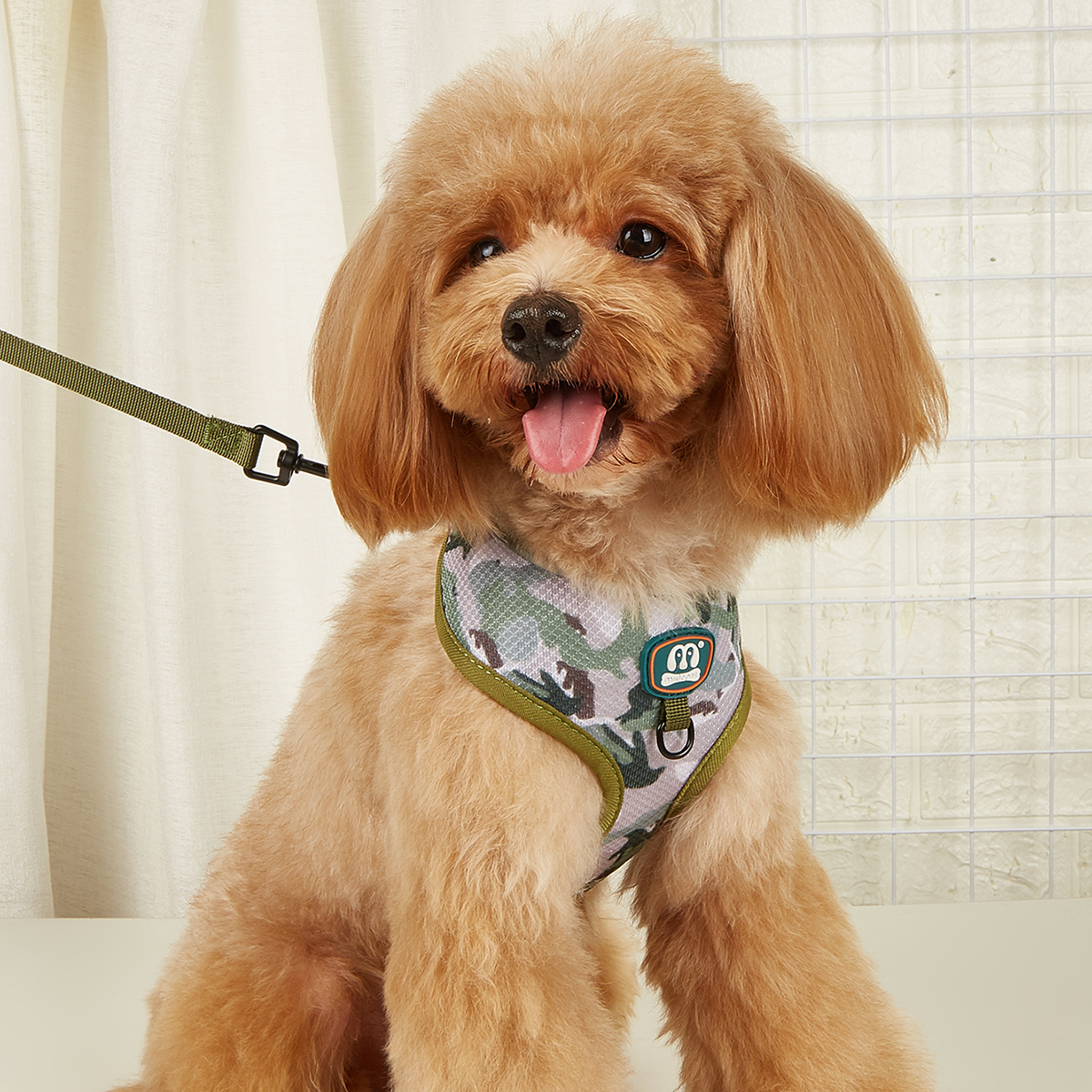 MIDEPET Wholesale Custom LOGO Accept Soft Mesh Design Reflective Sublimation Dog Harness And Leash Set For Small Medium Pet