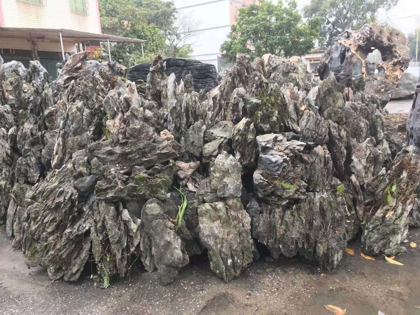 Seiryu stone natural dragon rock aquarium stone For Fish Tank Decoration and gardening