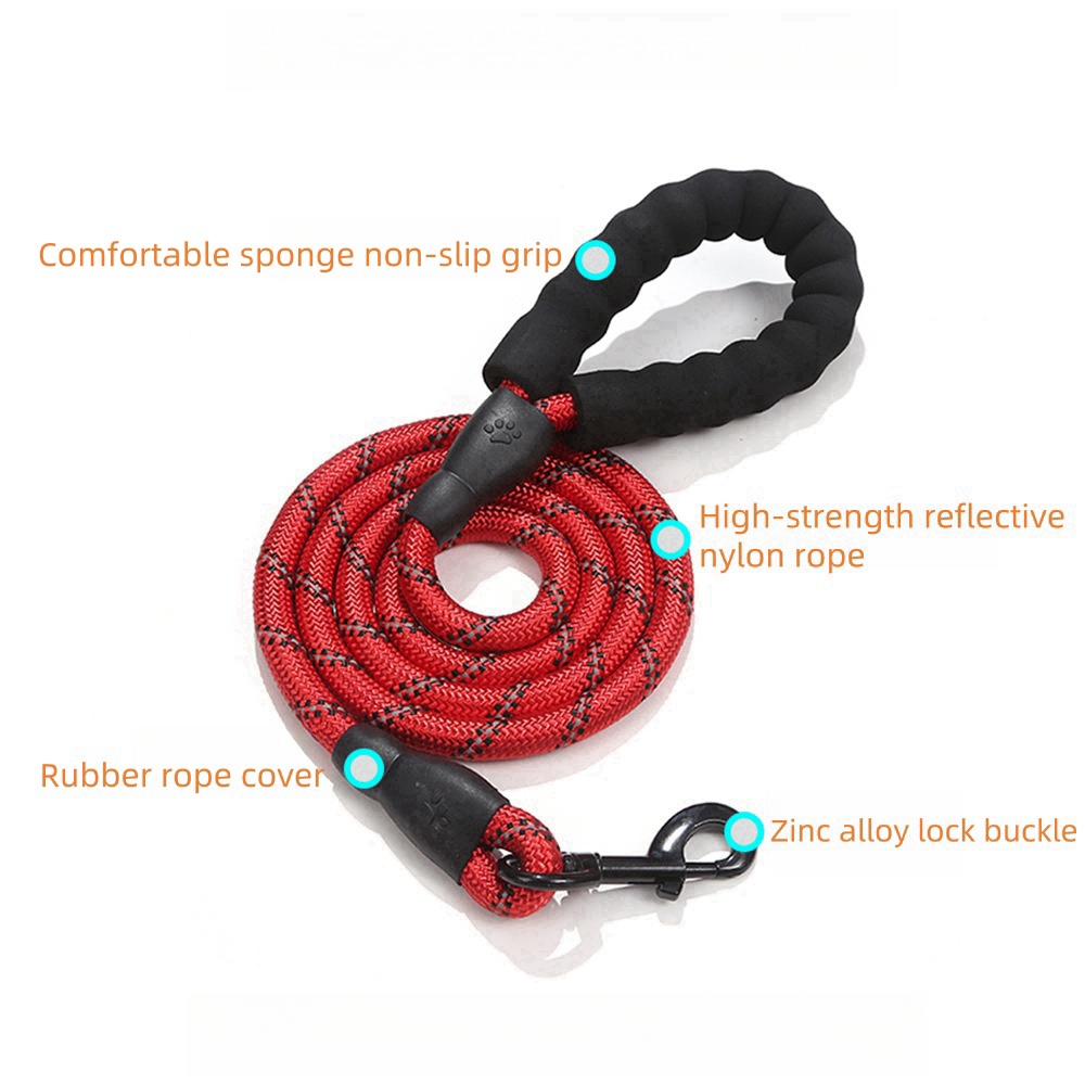 2024 Most Popular Customizable 5M Dog Leash Explosion-Proof Nylon Personalized Animal Pattern Lights Wear-Resistant Lace Pets