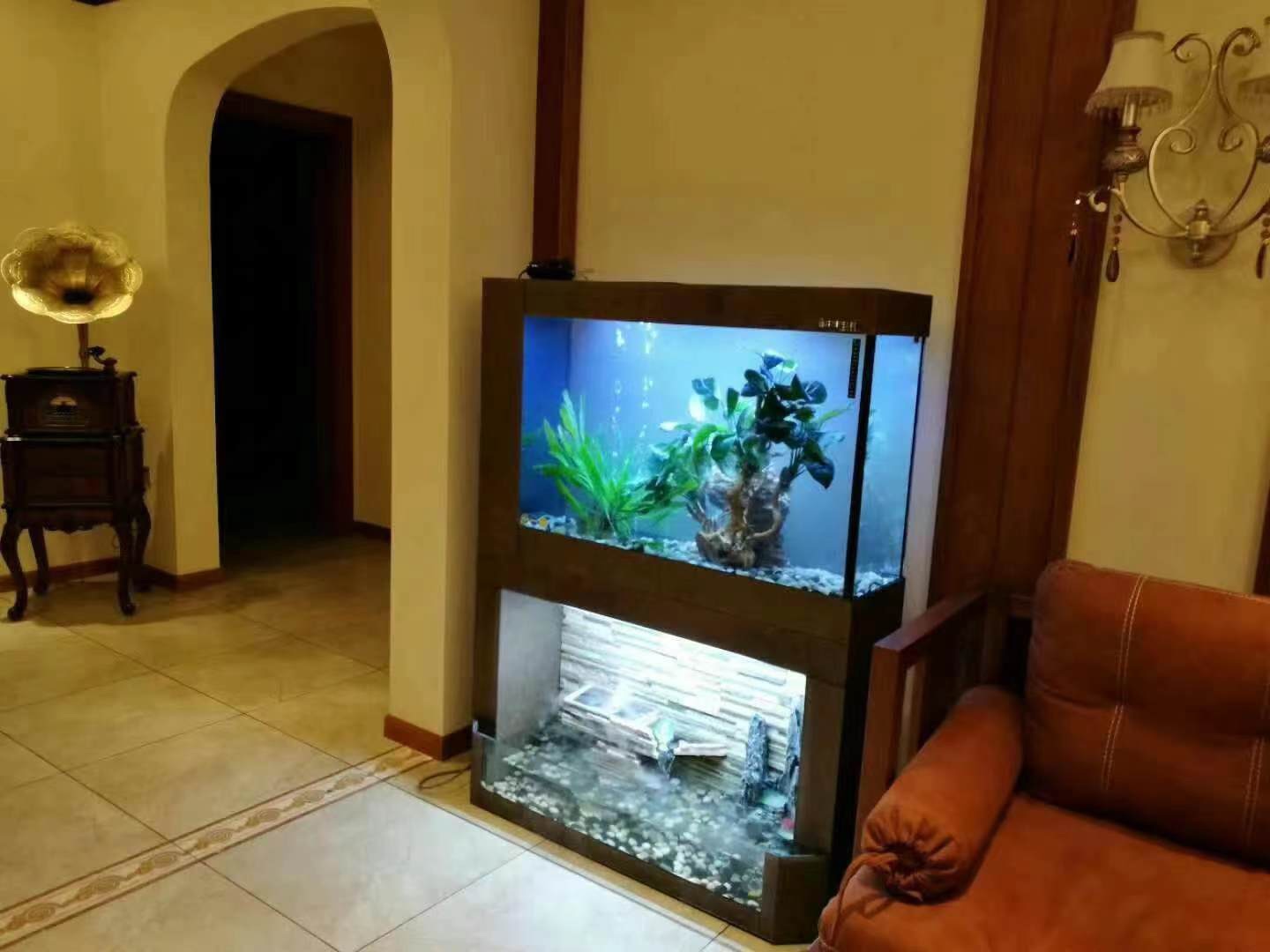 WOLIZE Vertical Door Chinese Dragon Moving Fish Transport Tank For Home Big Fish Tank