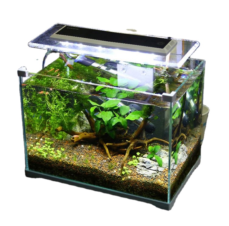 sunsun wholesale 1 gallon fish tank