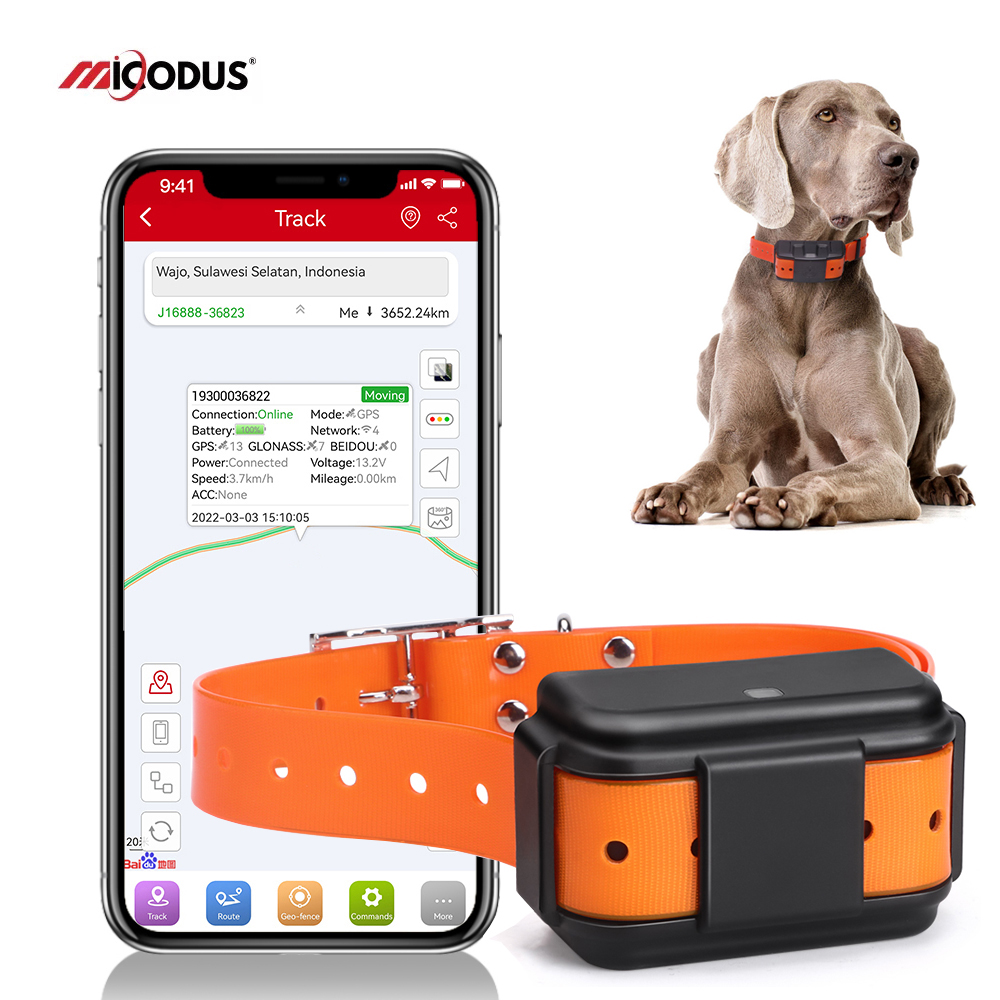 Fast Shipping Micodus MP50G IPX7 4000mah Long Range Dog GPS Tracking Smart Collars Dog Activity Monitoring 4G Pet Gps Tracker