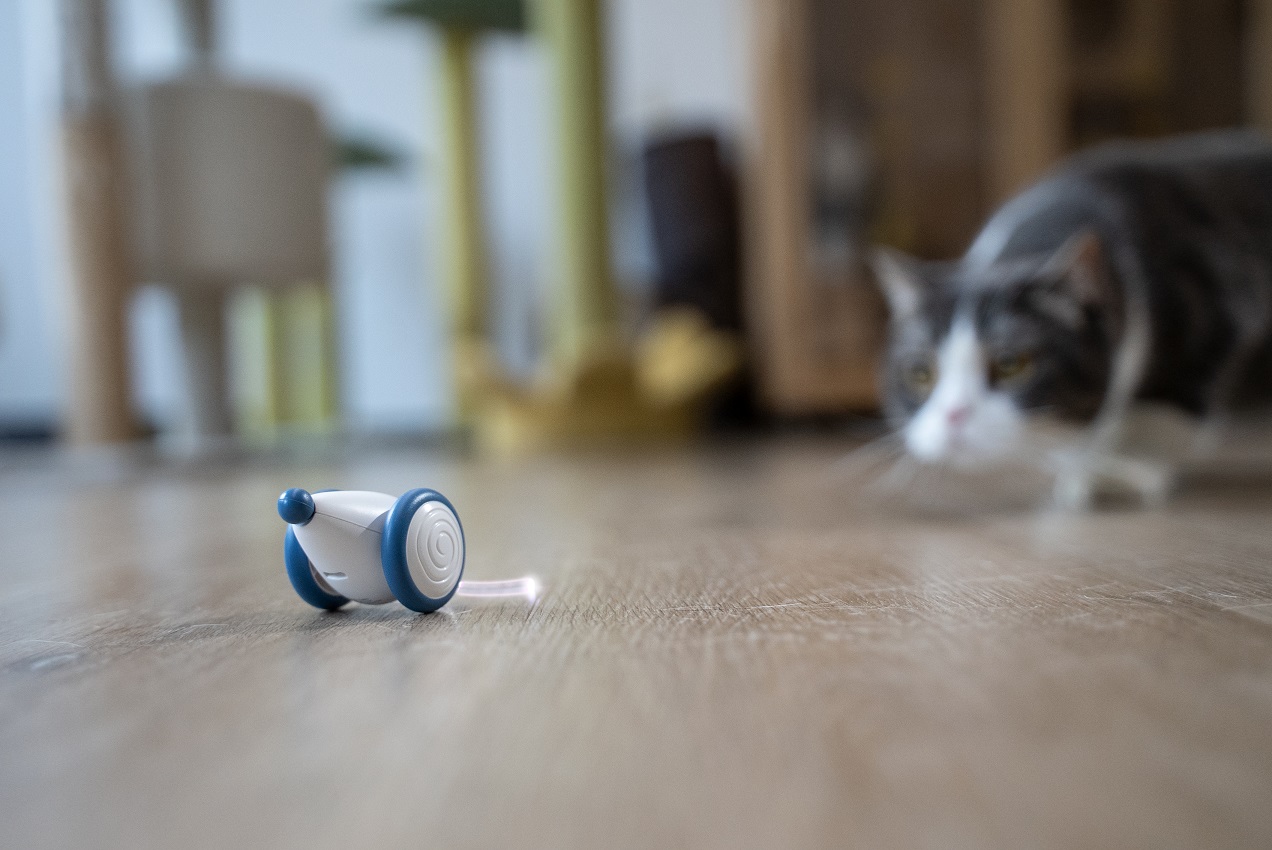 Wholesale Hot Selling Safe Materials USb Rechargeable New Pet Interactive & Movement Other Cat Toys