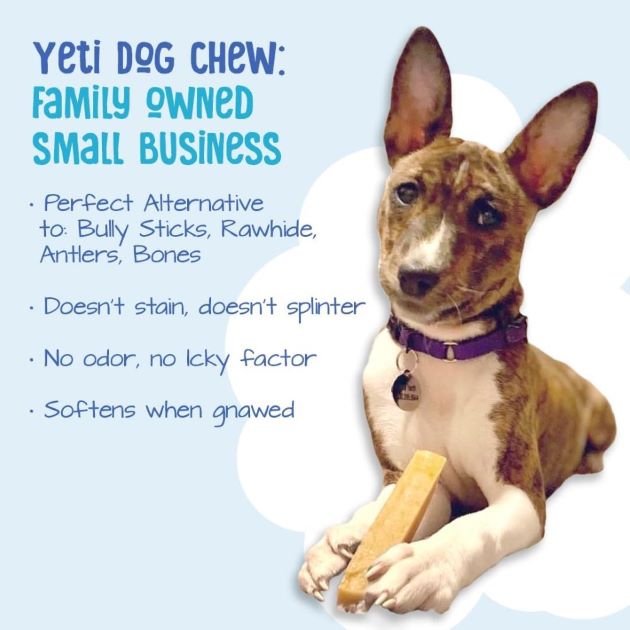 Yeti Dog All-Natural Mango Flavor Large 3.5 oz 40 per Case Organic Premium Rawhide Dog Snack Food Protein Rich Safe Dogs