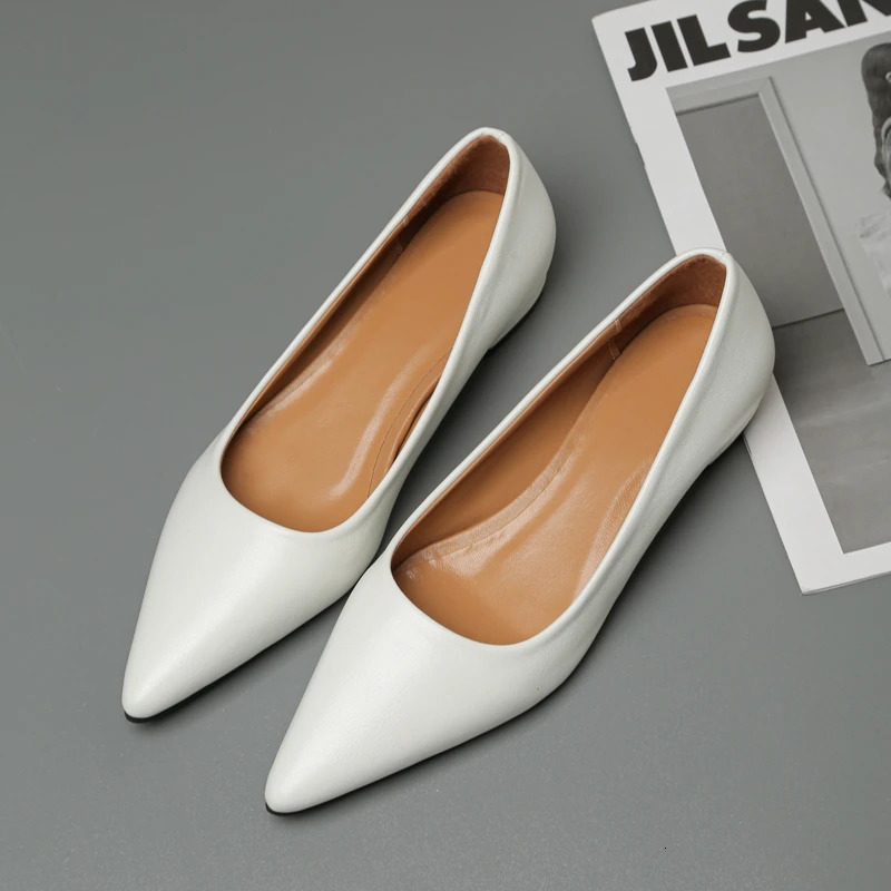 Pointed Toe Shallow Mouth Square Heel Small Leather Shoes Womens Elegant Fashion High Heels Dress Shoes Zapatos Mujer 241126