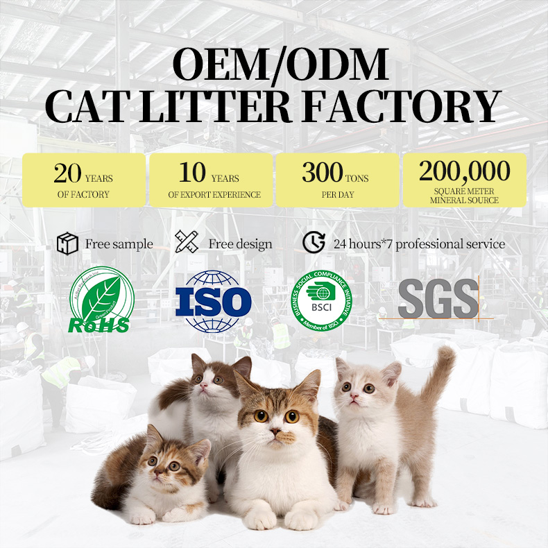 Top Quality Pet Cleaning Products Kitty OEM Clumping Irregular Shape Bentonite Cat Litter