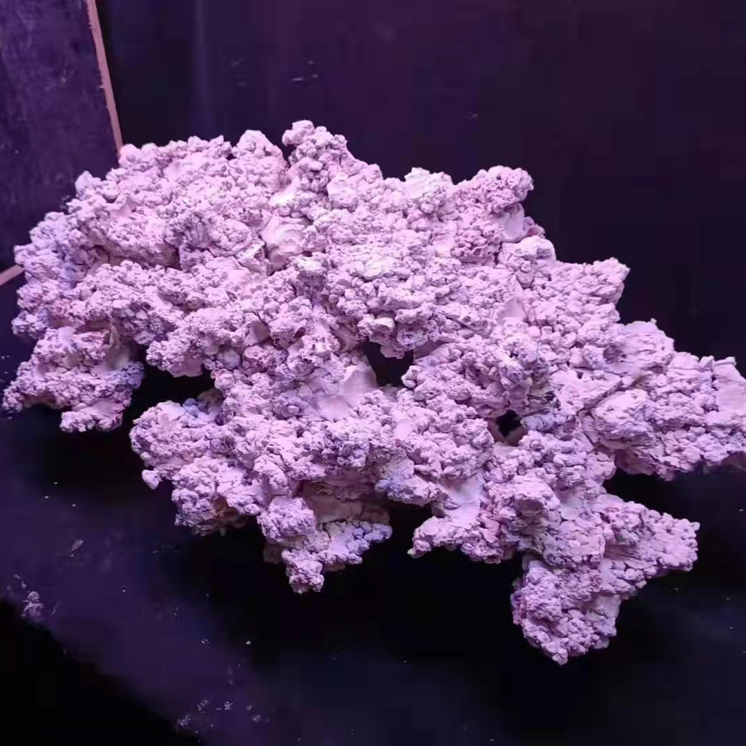 Custom Made Landscape Artificial Aquarium Reef Rock Stone for Saltwater Fish Tank