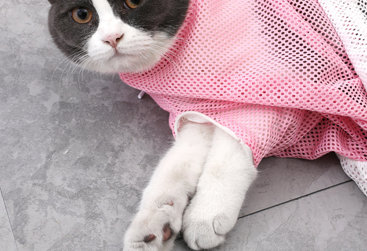 The Third-generation Cat-washing Bag A Bath Artifact Fixed Bag for Cats and Dogs Bath Nails Beauty and Medicine Good Helper