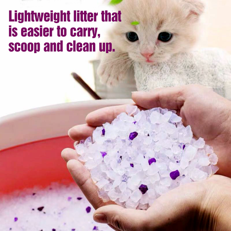 buy cat litter suppliers wholesale sale cheapest oem crystal silica gel cat litter sand