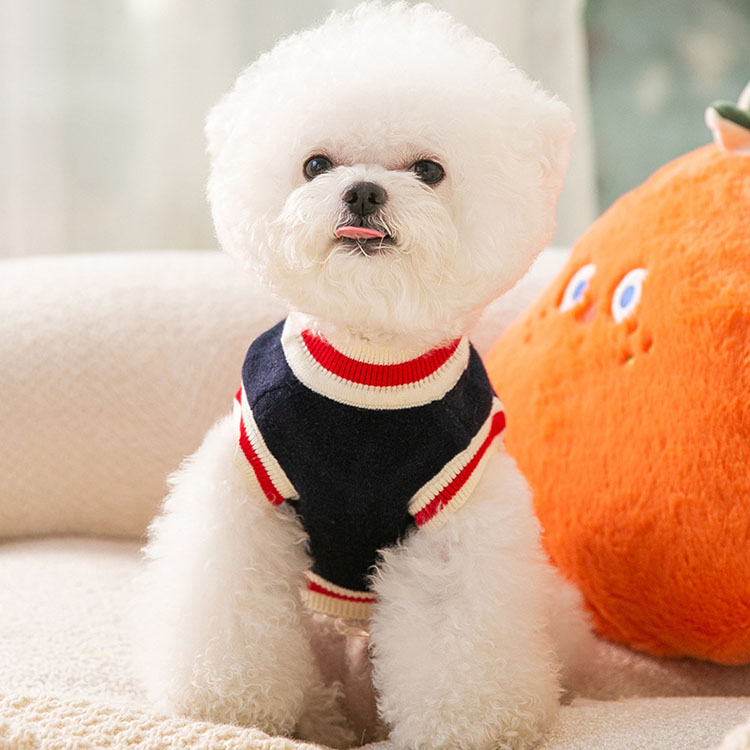 Hot Selling Autumn and winter new puppy warm cat astronaut milk cat pet two legged sweater