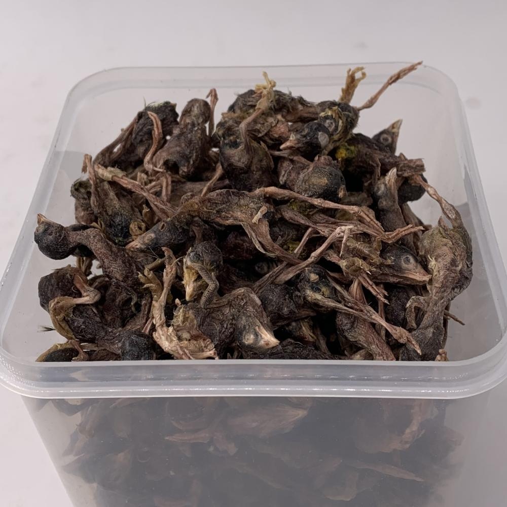 Freeze Dried quail OEM Pet Treats cheap FD meat dog cat treat