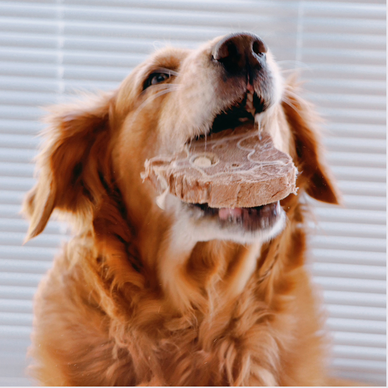 Wholesale freeze-dried pet food Dog treats Freeze-dried deer neck Freeze-dried treats for pets Cat treats cat snacks