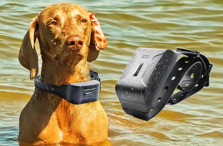 Dog and other medium or large-sized animals 4G lte gps tracker