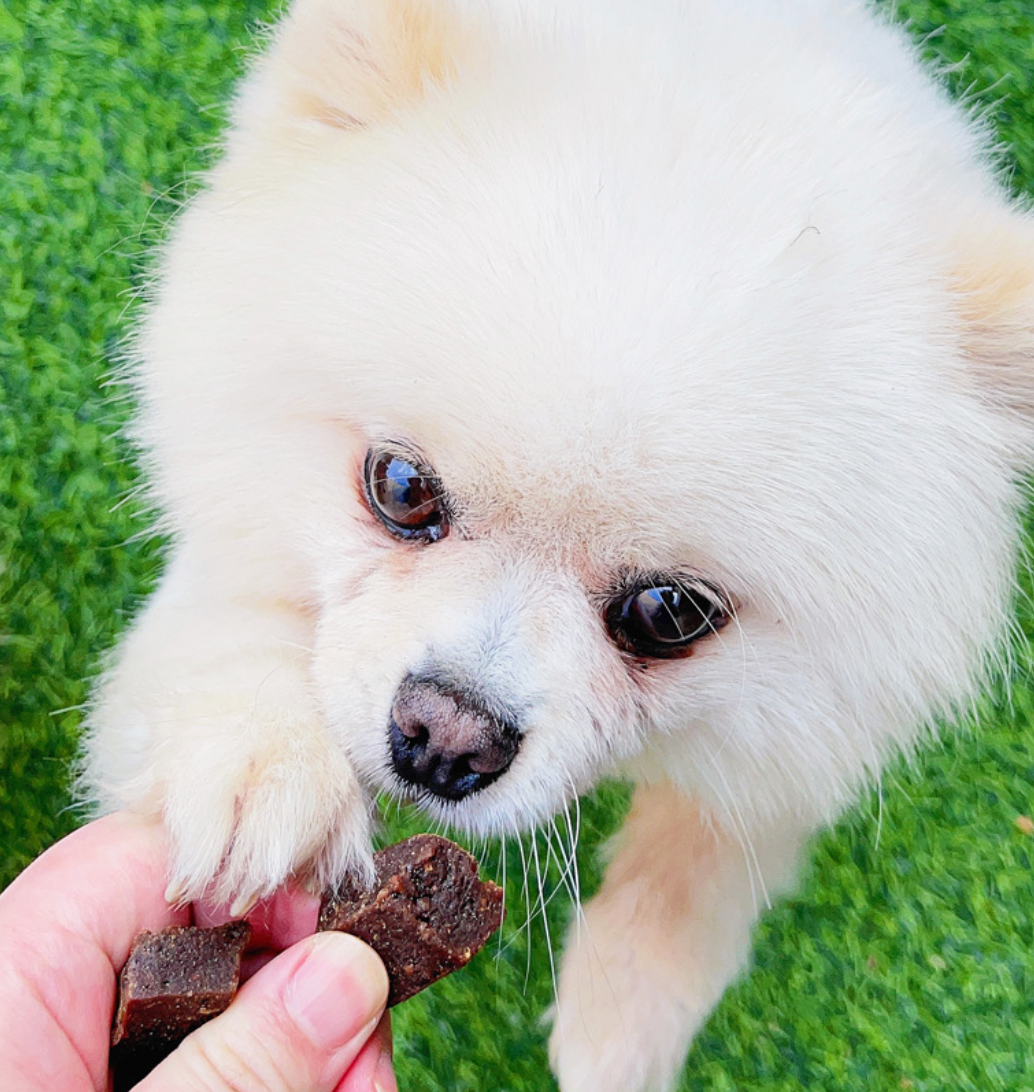 High-protein beef snacks for pet dogs are easy to digest and absorb and replenish energy