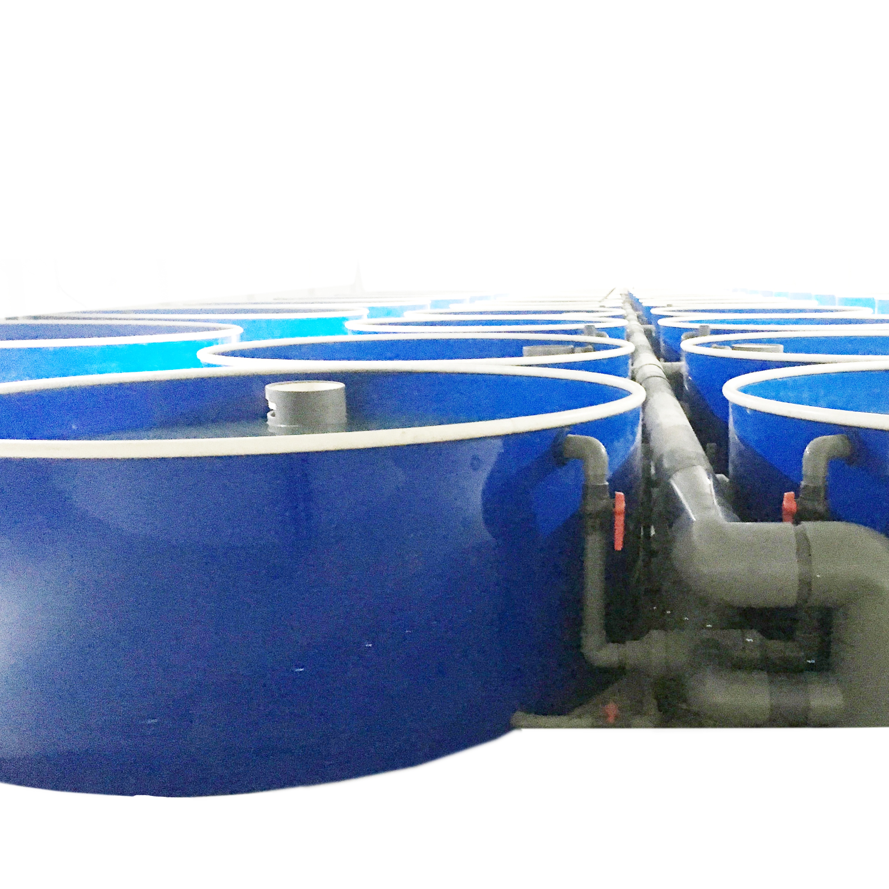 Customized Recirculating Aquaculture Systems Indoor Fish Farm Tanks