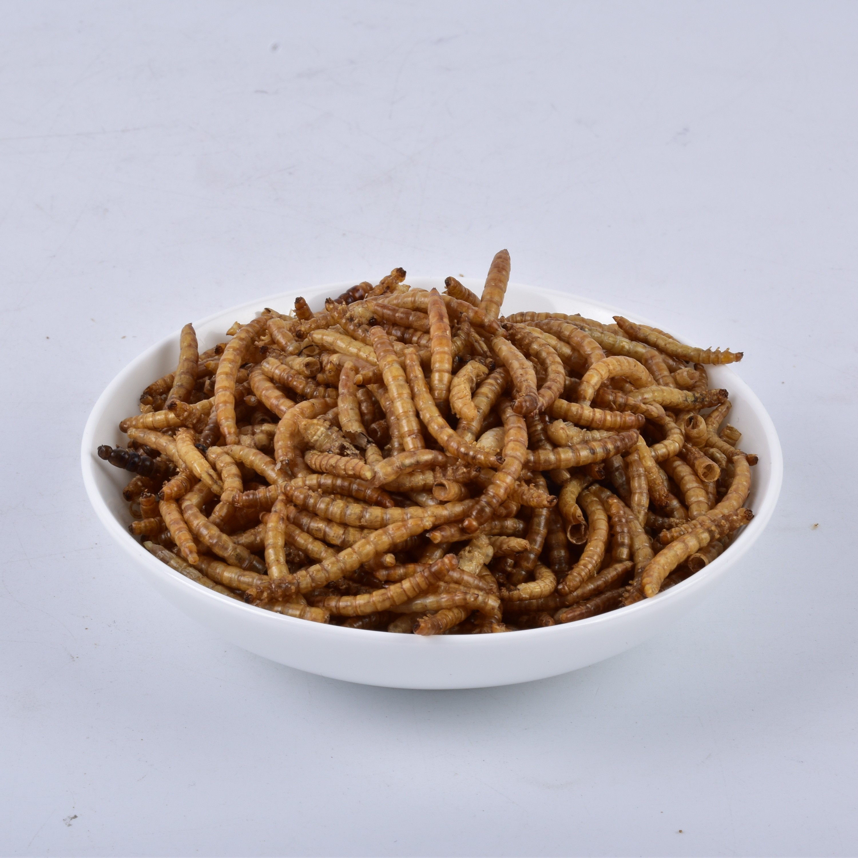 [SINO CROWN] Dried Mealworm Dried Insects Tenebrio Molitor Animal Feed Grade Powder
