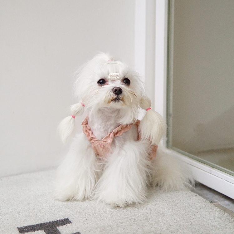 2022 Hot Selling Multi-Color Comfortable Custom Logo Small Floral Dog Harness