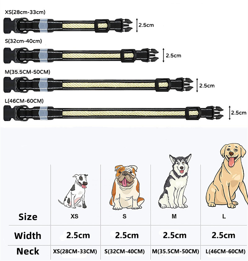 App Remote Control OEM Lamp Color Quick Release Reflective Safety LED Collar for Dogs