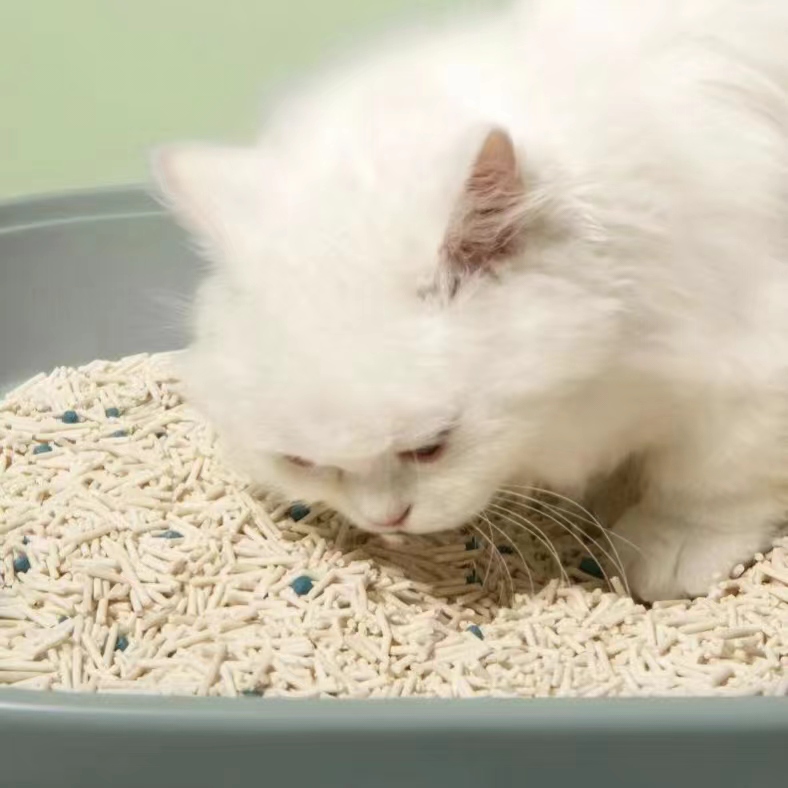 Factory direct sales mixed tofu cat litter 5kg10kg20kg deodorizing absorbent mixed cat litter