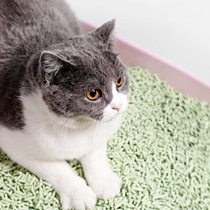 Factory Direct Sales Wholesale High Quality Hot Sale private label cat litter sand