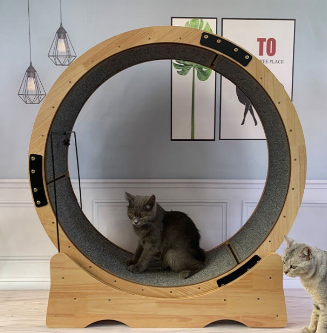 Multi-function cat scratch board climbing frame pet non-fumigation solid wood treadmill wear-resistant cat sports trainer