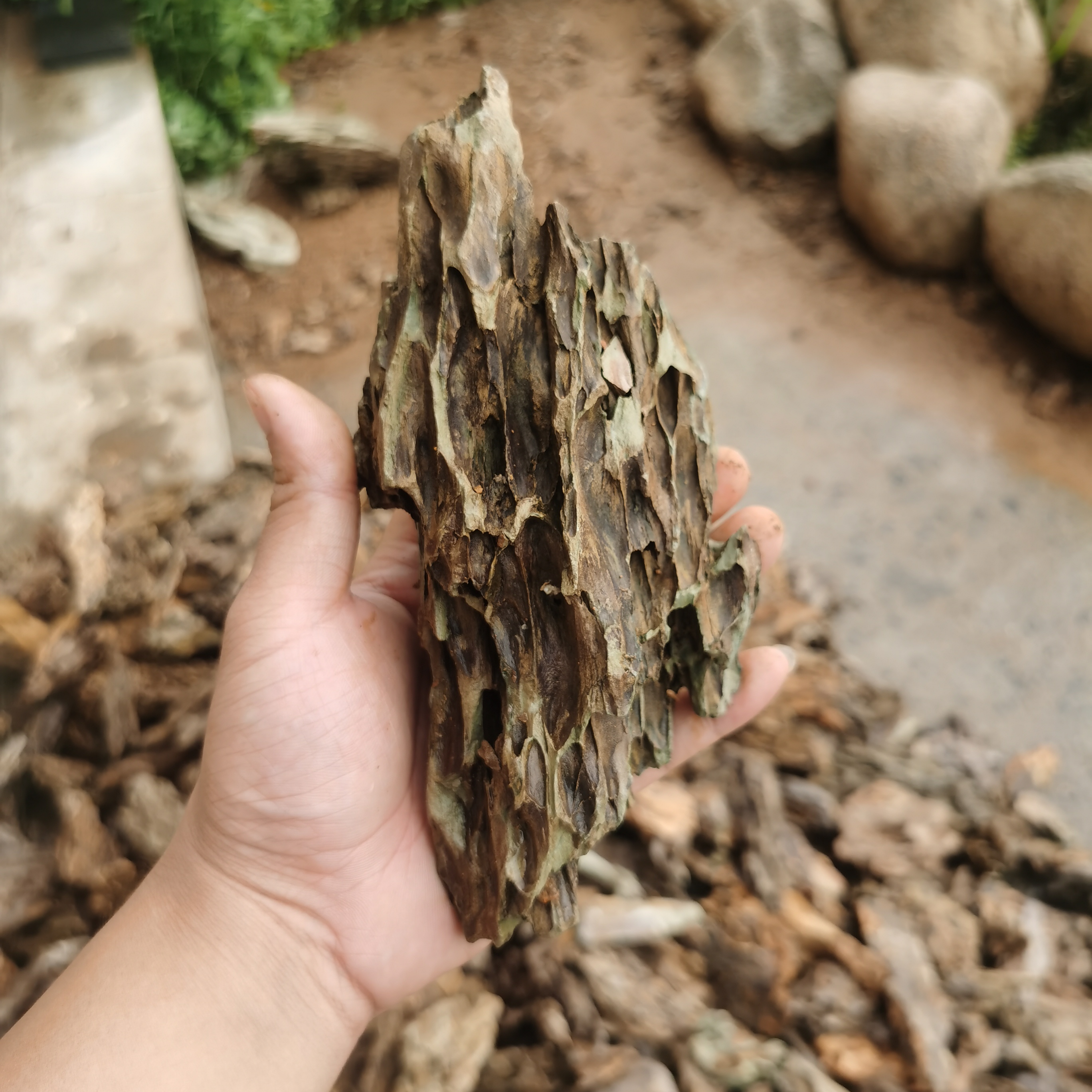15-60cm landscaping stone fish tank rockery pickling fish tank landscaping seiryu stone