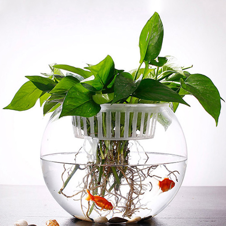 Wholesale Hight Quality Circular Fish tank Round Small/Mini Glass Portable Fish Tank