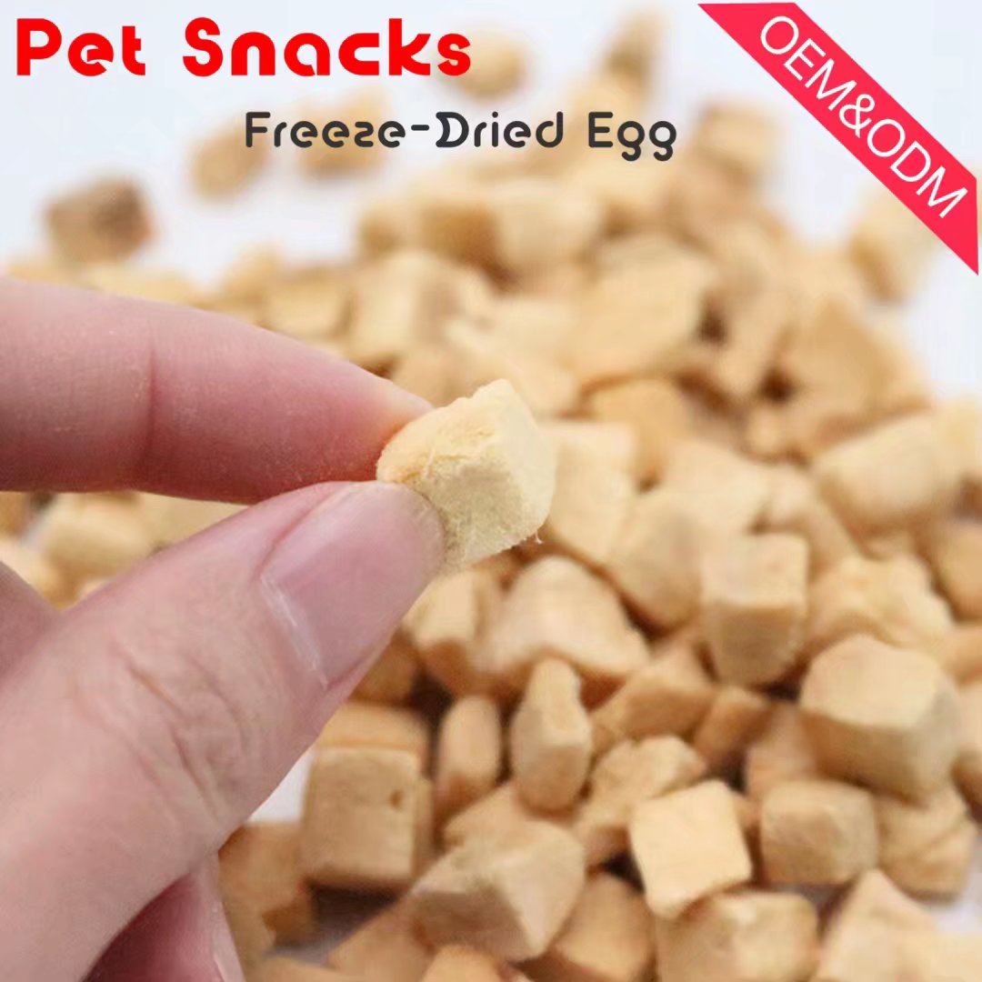 Freeze dried pet snacks bulk raw dog dry treats snacks pet supplies chicken meat OEM pet food