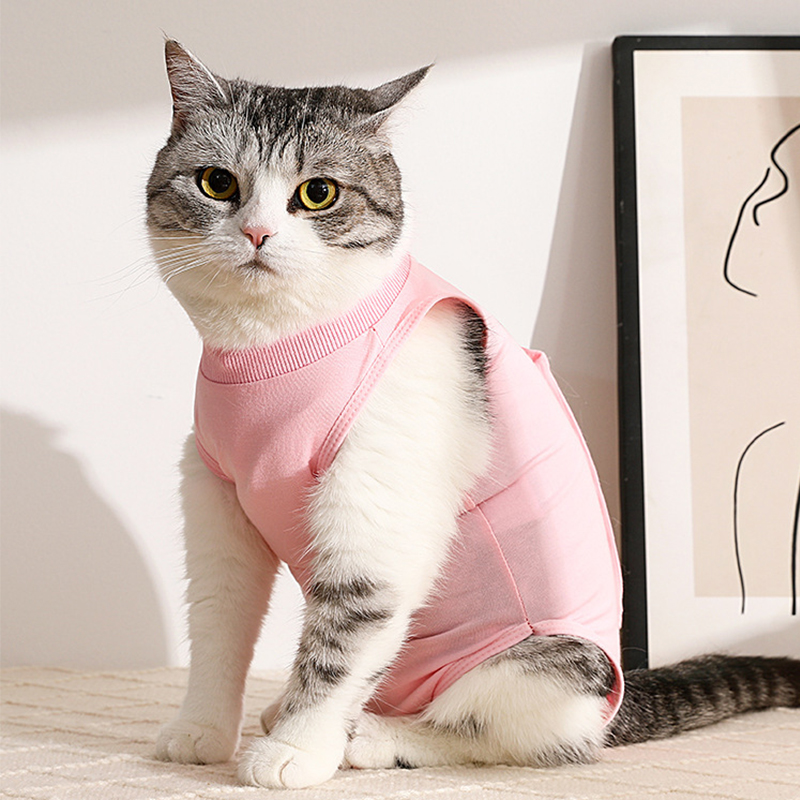 Dog Recovery Suit Prevent Licking Dog Onesie for Surgery Recovery Clothes