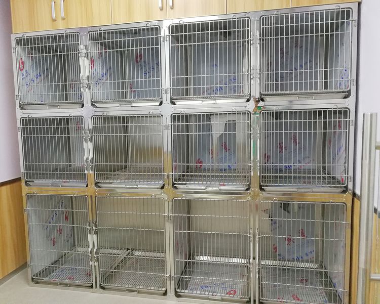 12-door cage Veterinary pet hospital clinic stainless steel 304 dog cages (model A)