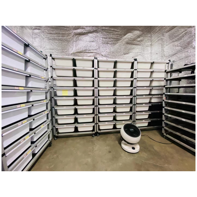 plastic snake reptile breeding box reptile breeding tub snake rack cage pet snake breeding rack system