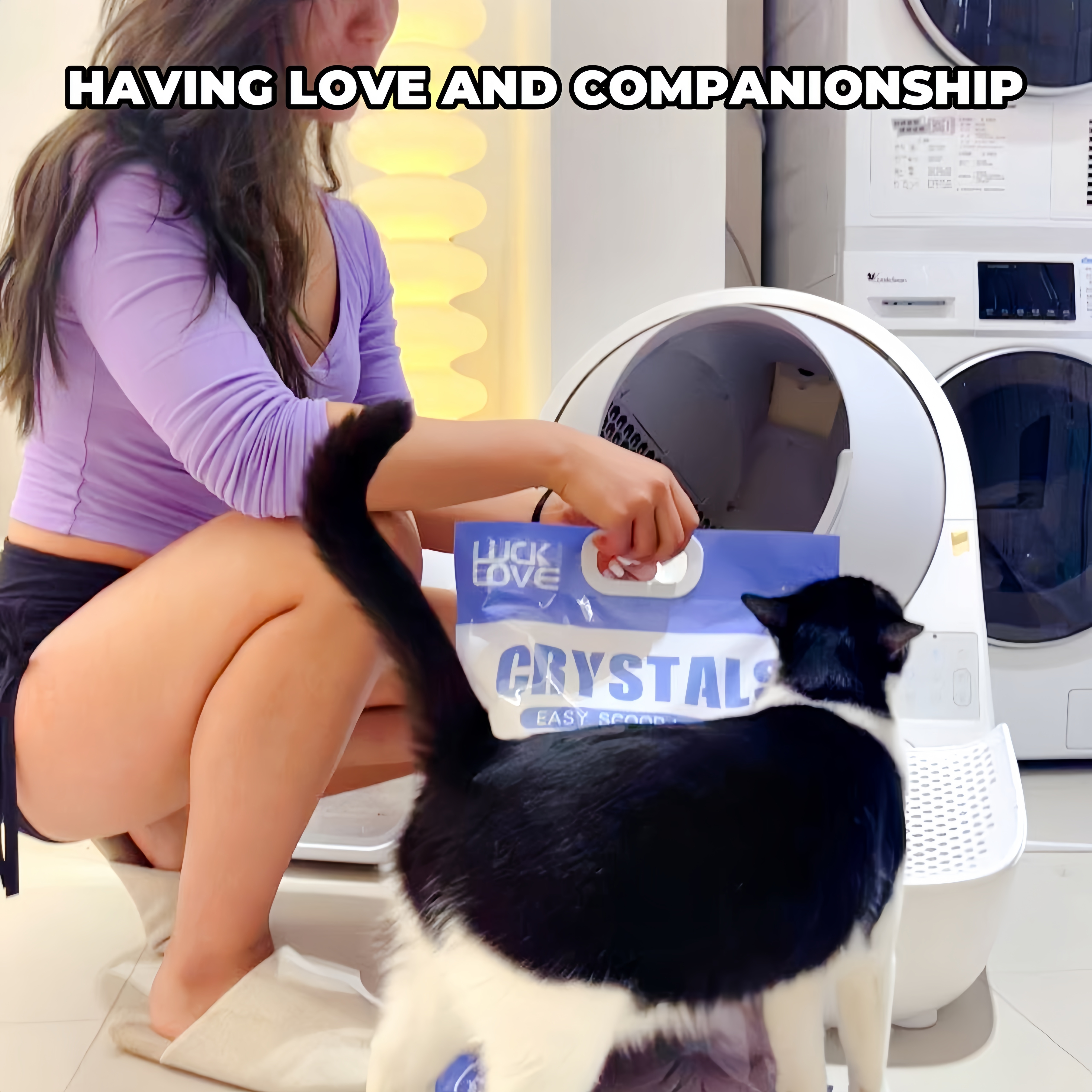 Blue Crystal Silicone Cat LitterSuperior Odour ControlAromatic Dust Free Cat Litter1-4mm Crystal Cat Litter