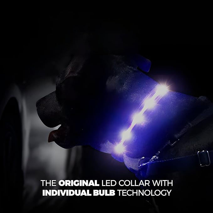 Waterproof USB Rechargeable Silicone LED Dog Collar Multicolor Night Safety Flash Glow Rechargeable Luminous Pet Dog Collar