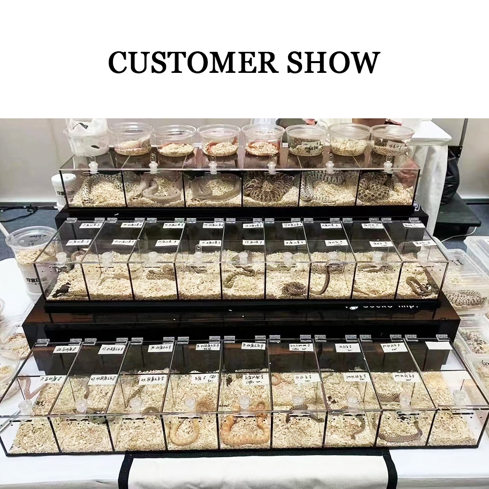 Reptile expo show 3 shelves reptile exhibition display acrylic reptile display cases suppliers