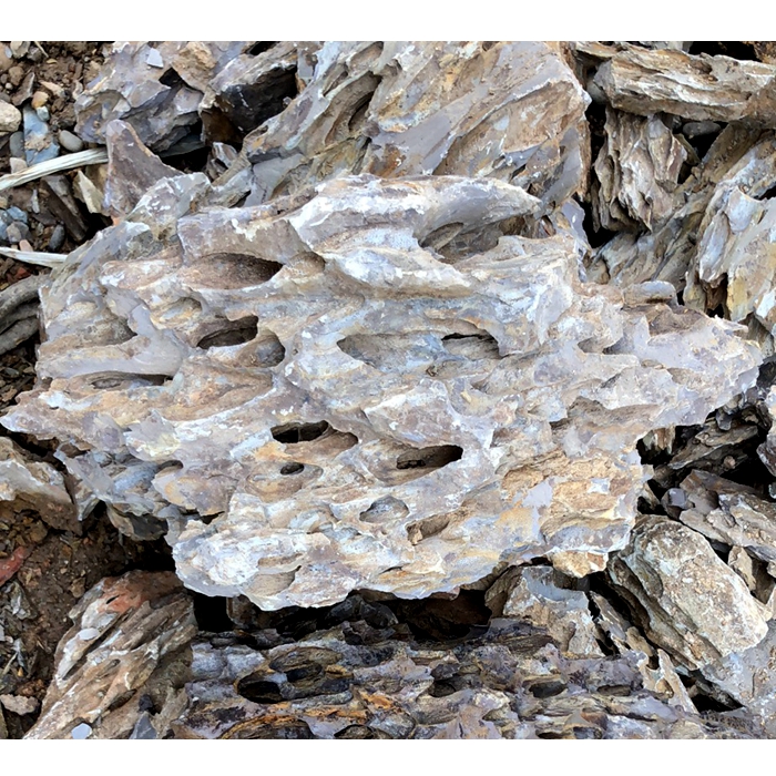 fairly popular aquarium rocks brown Ohko dragon stone