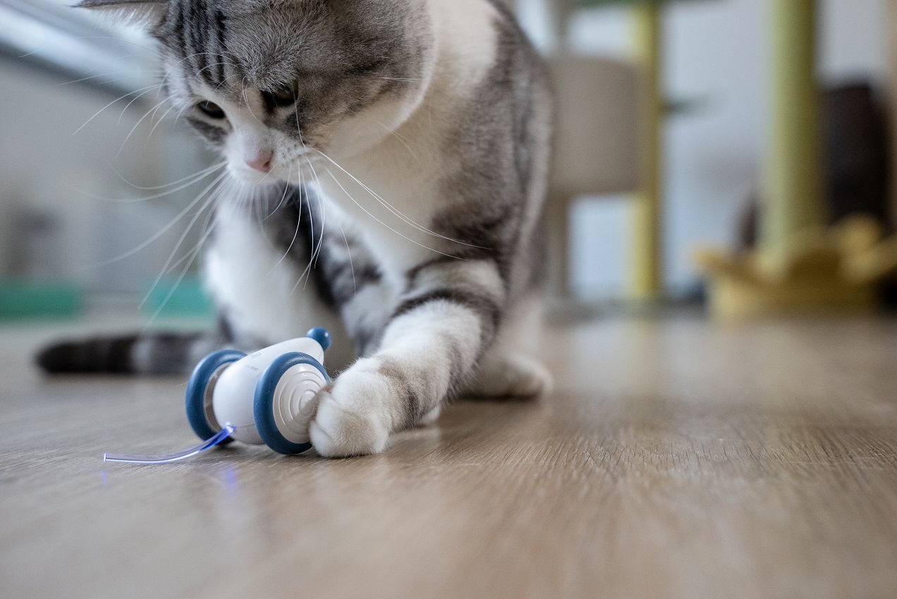 New Design Hot Sale Smart Cat Product Pet Toy Wicked Mouse Cat Catch Quickly Moving Automatic Running Mouse Toy