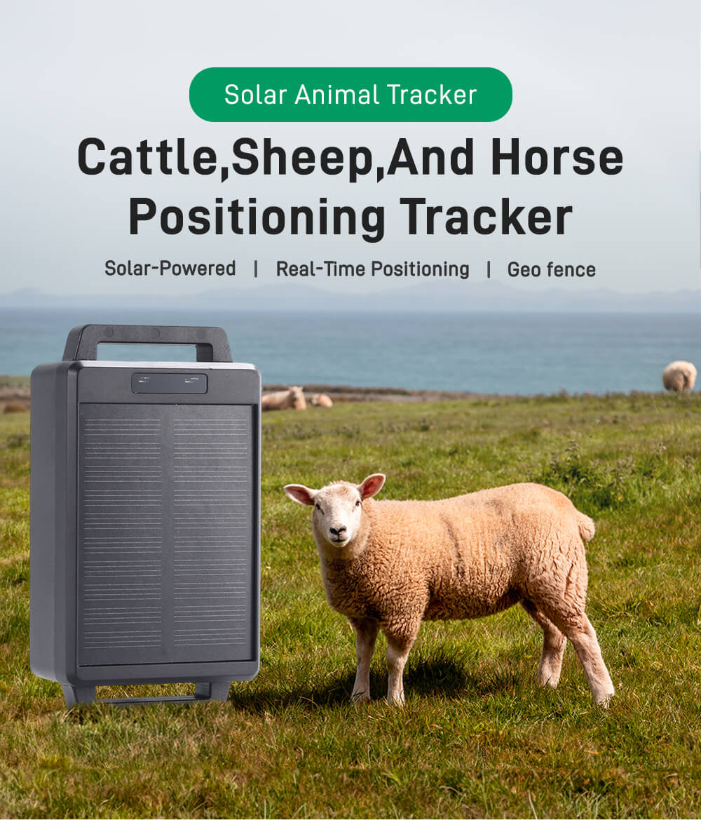 High Accuracy 4G Cow Gps Smart Farm Waterproof Gps Tracker Using Animal Cattle Tracking Device Gps